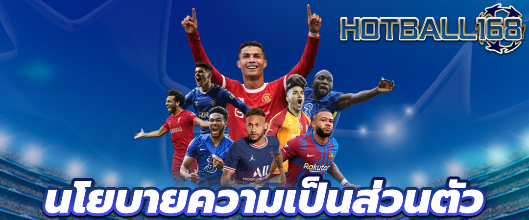 นโยบายความเป็นส่วนตัว